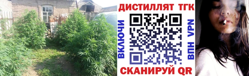 дарнет шоп Петушки ТГК концентрат