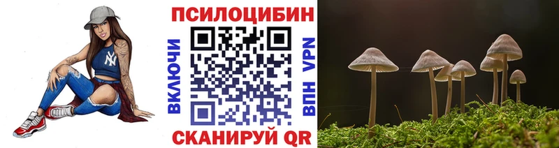 Псилоцибиновые грибы прущие грибы  где купить наркотик  Петушки 